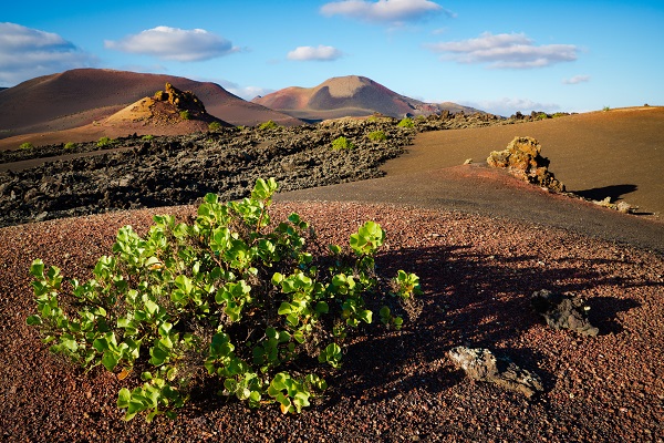 Learning Spanisch in Lanzarote near Arrecife